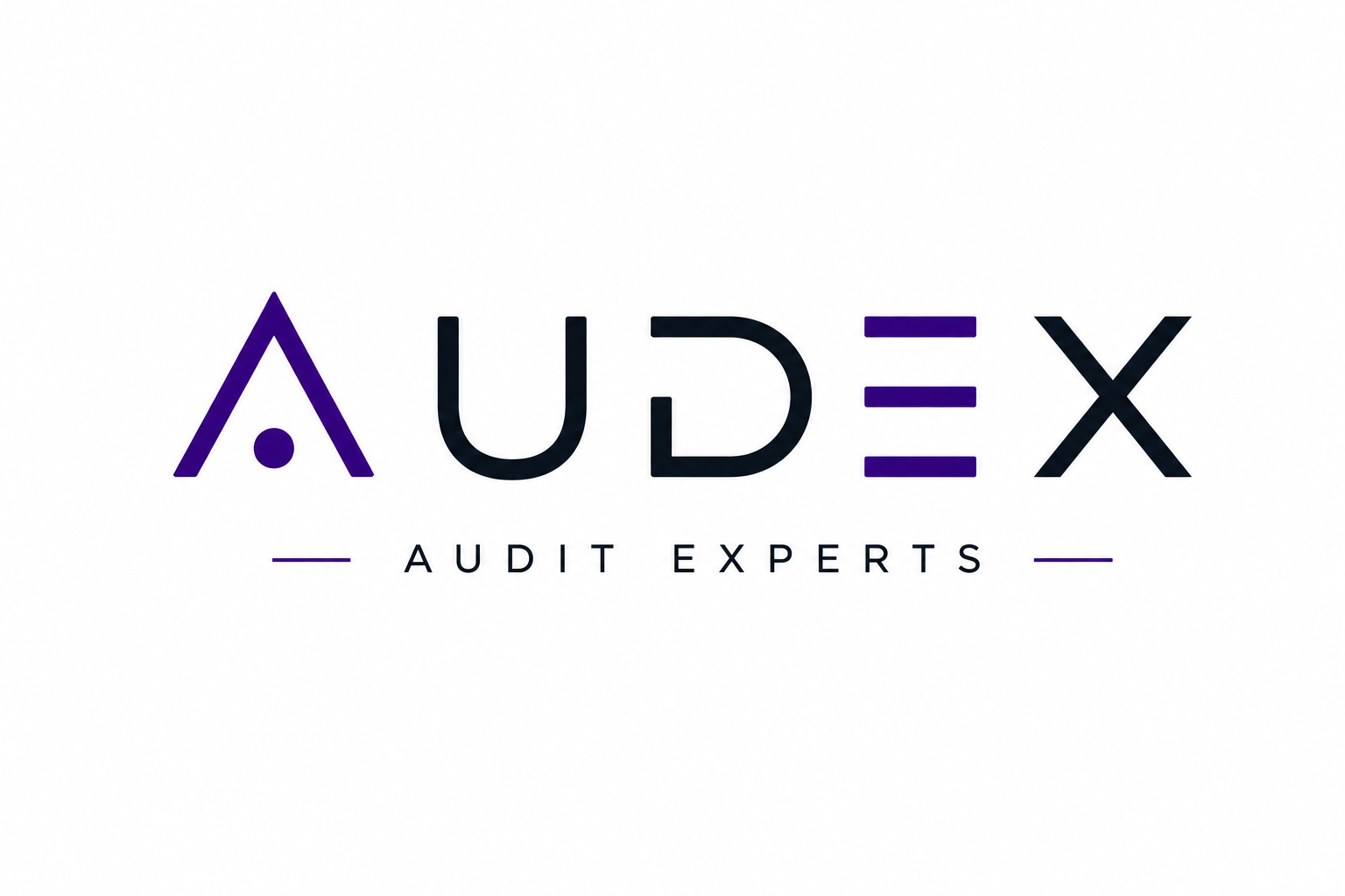 Audex Audit Experts